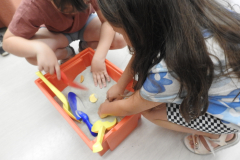 DSCN0724